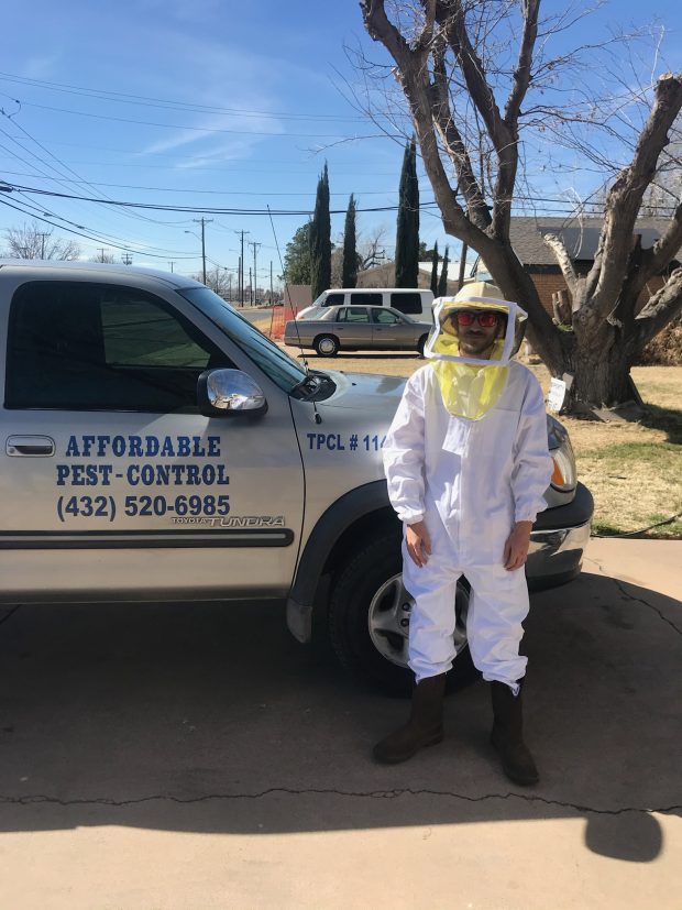 What Are the Top Methods for Bed Bug Extermination?