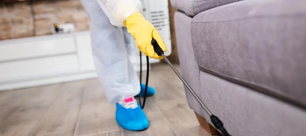 Pest Control Services in Greenwood, TX