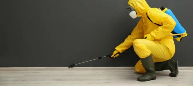 Why Is Bed Bug Inspection in Midland Important?