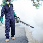 exterminator